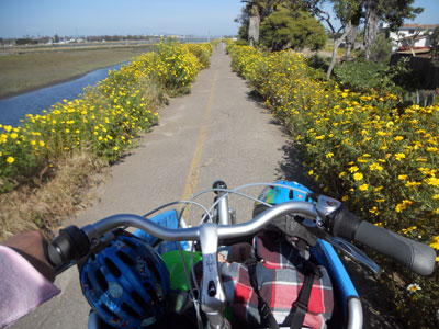 Sleeping on the Ocean Beach Bike Path