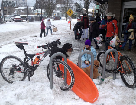 Bike/dog/sled/kid rack at QFC