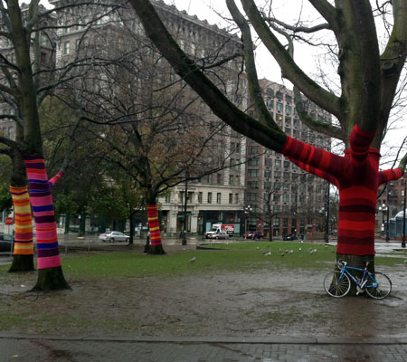 Road bike and tree sweaters