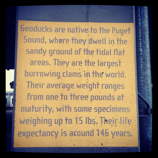 Spokane St Viaduct artwork