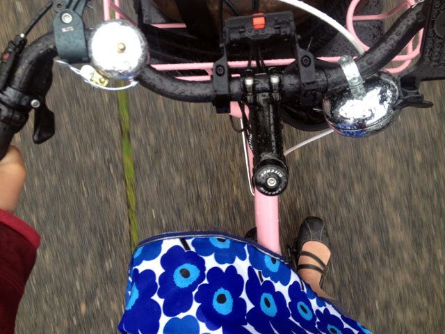 Rain skirt--brilliant!