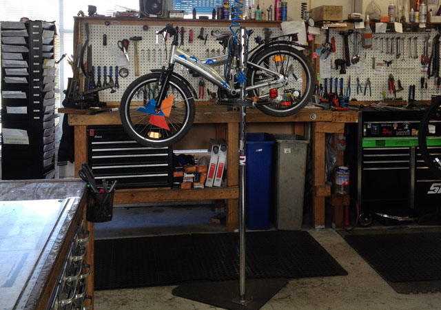 Mosquito in the stand