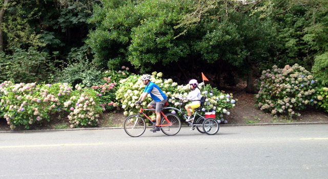 Morgan Cycle trailer trike