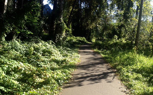 Trail through Montlake Playfield