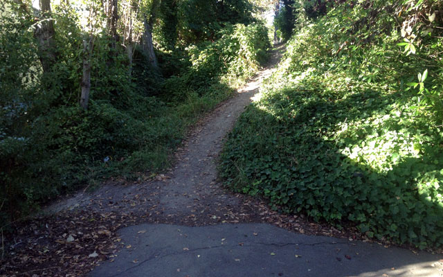 Single track next to St. D's