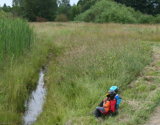 Watching Seattle DRT