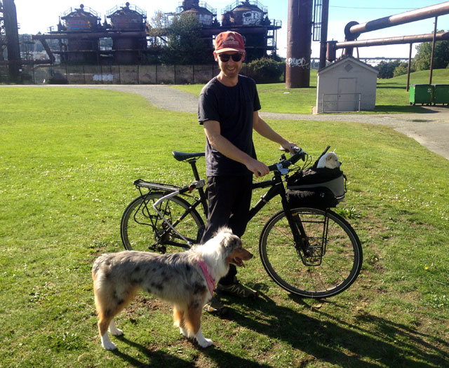 Artist Matt Josef and his dogs