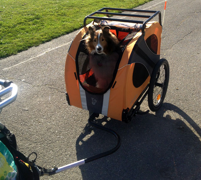 DoggieRide trailer