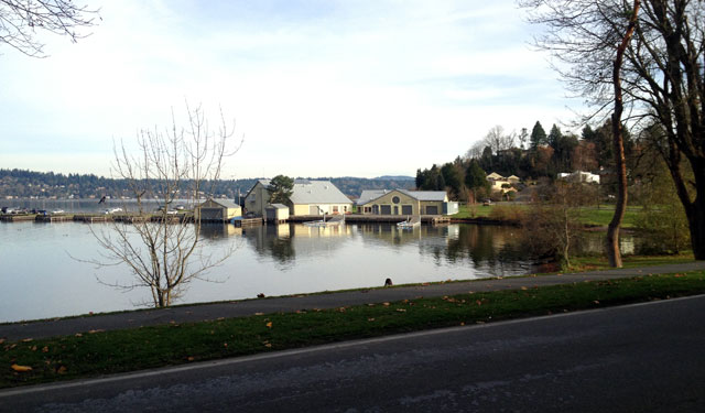 View from the Lake Washington Loop