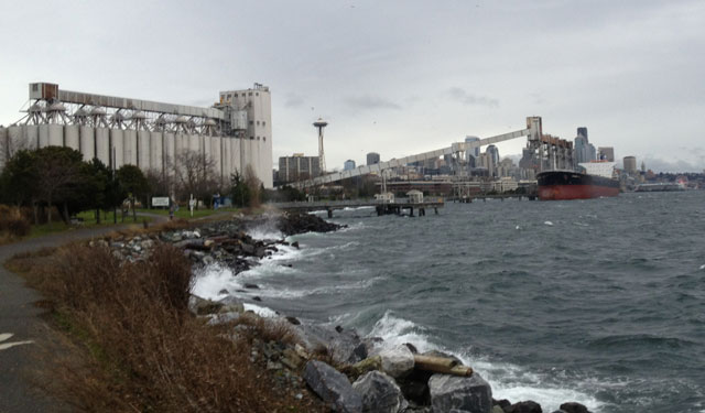 Windy waves in Myrtle Edwards Park