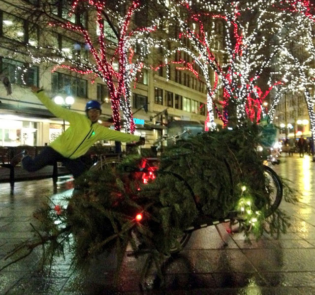 Two trees on my bike