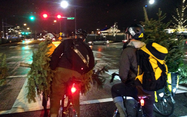 Trees on bikes
