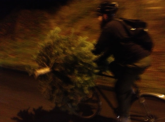 Tree on front basket