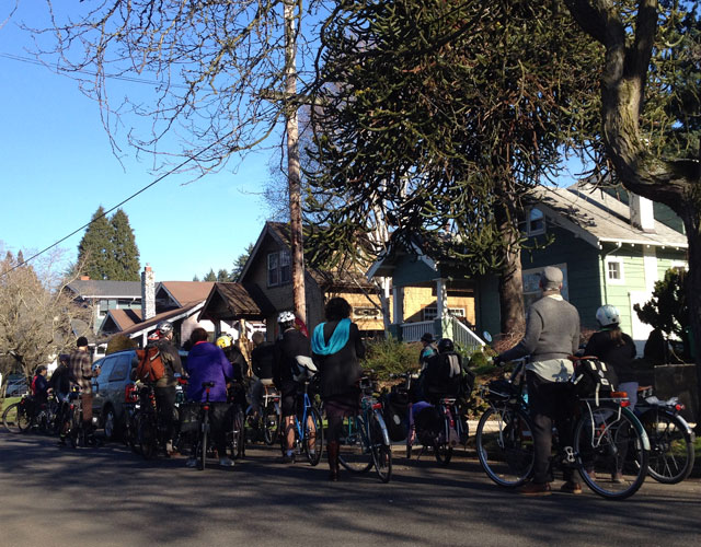 Portland Palm Tree Ride at monkey puzzle tree