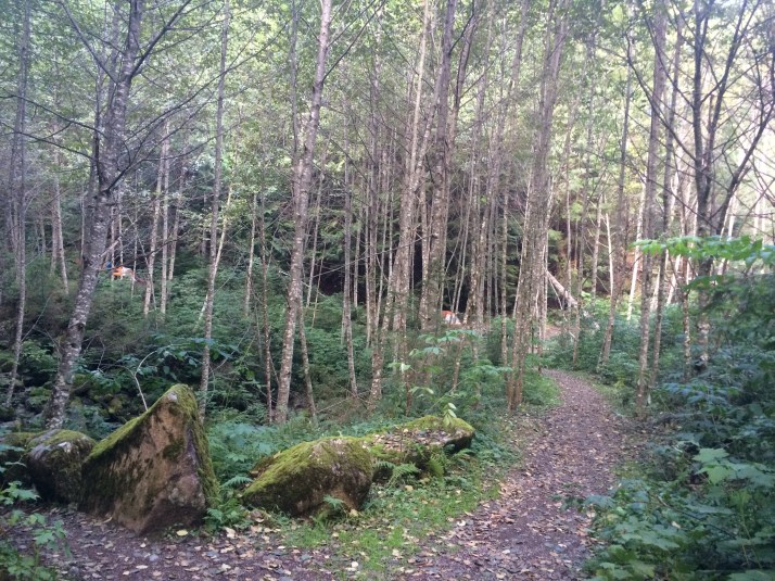 Carter Creek Campground