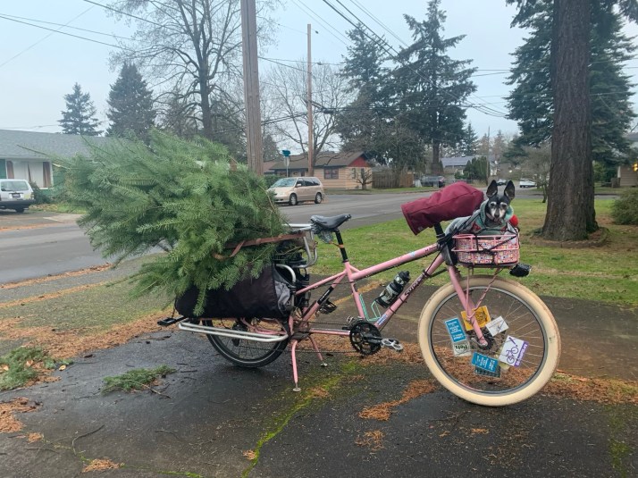 2020tree-bike