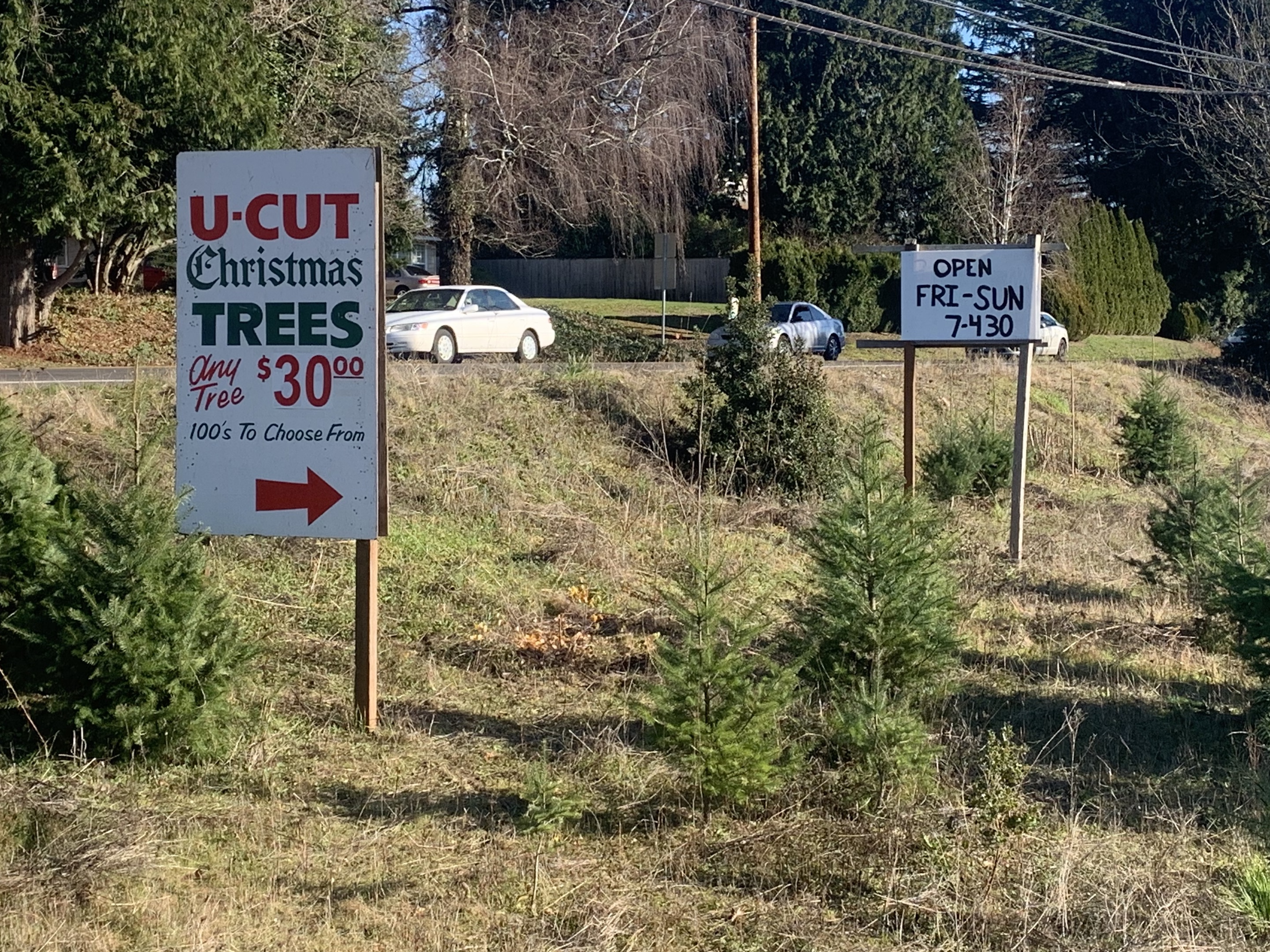 2020tree-signs