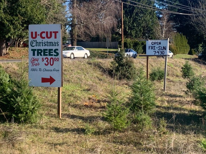 2020tree-signs